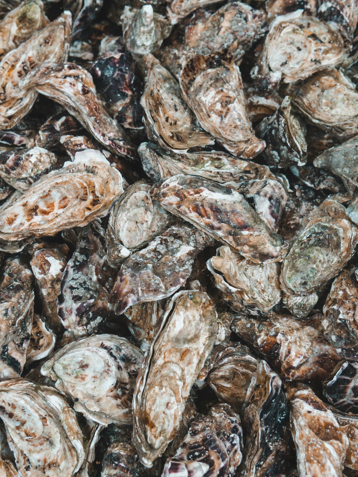 Eftermiddagshygge i kulden ❄️

Kig forbi mellem kl. 15&ndash;17 og fork&aelig;l dig selv med en &oslash;sters og et glas af dagens vin for kun 99,-

Kan du ikke n&aring; det? S&aring; serverer vi &oslash;sters torsdag, fredag og l&oslash;rdag til kun