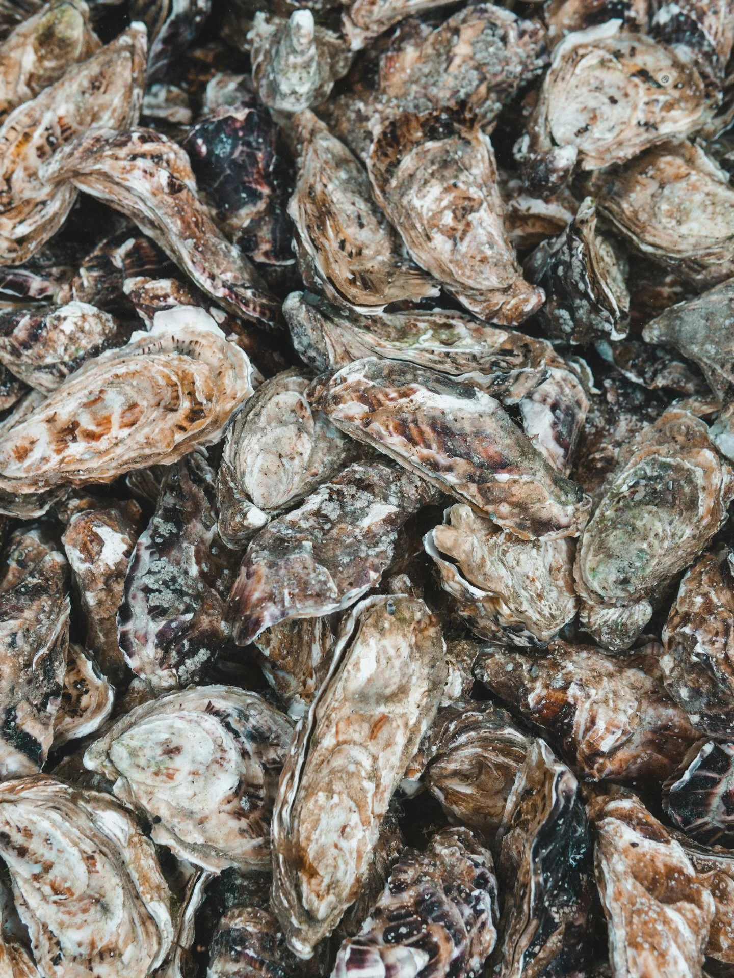 Eftermiddagshygge i kulden ❄️

Kig forbi mellem kl. 15&ndash;17 og fork&aelig;l dig selv med en &oslash;sters og et glas af dagens vin for kun 99,-

Kan du ikke n&aring; det? S&aring; serverer vi &oslash;sters torsdag, fredag og l&oslash;rdag til kun