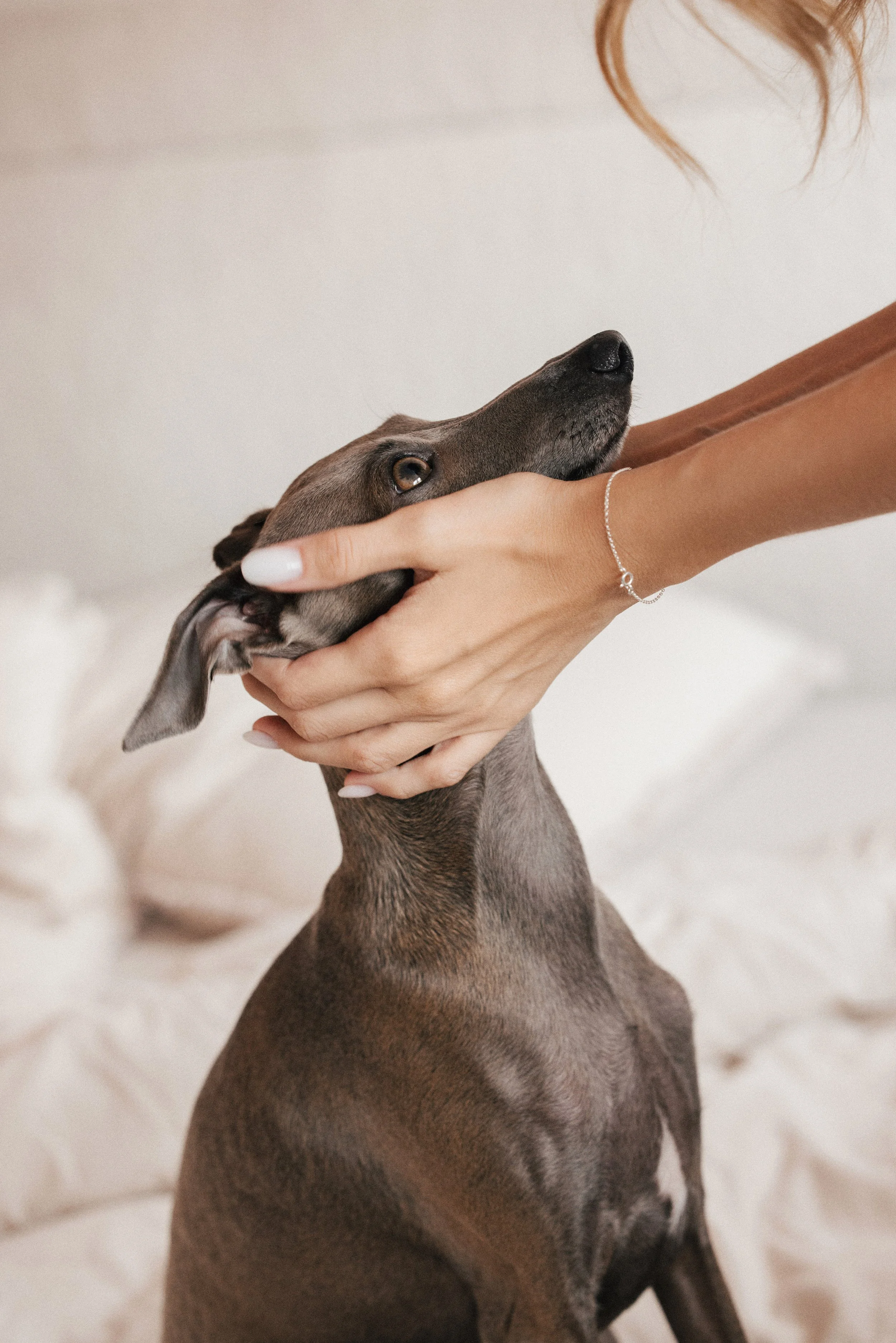 G&A wedding sneakpeek 005 small.jpg