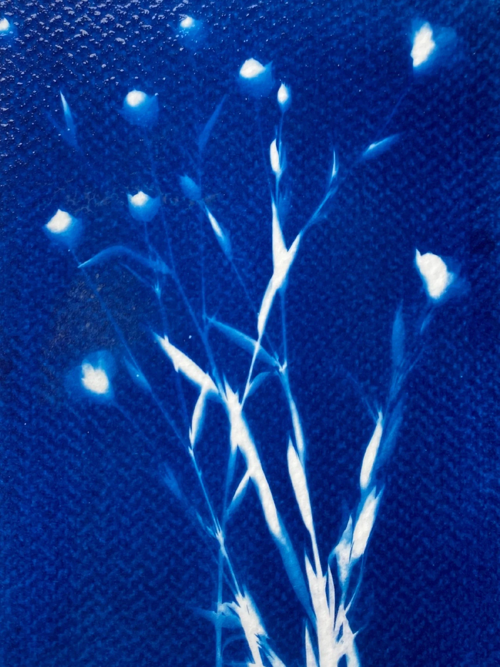 Untitled+design-3.jpg