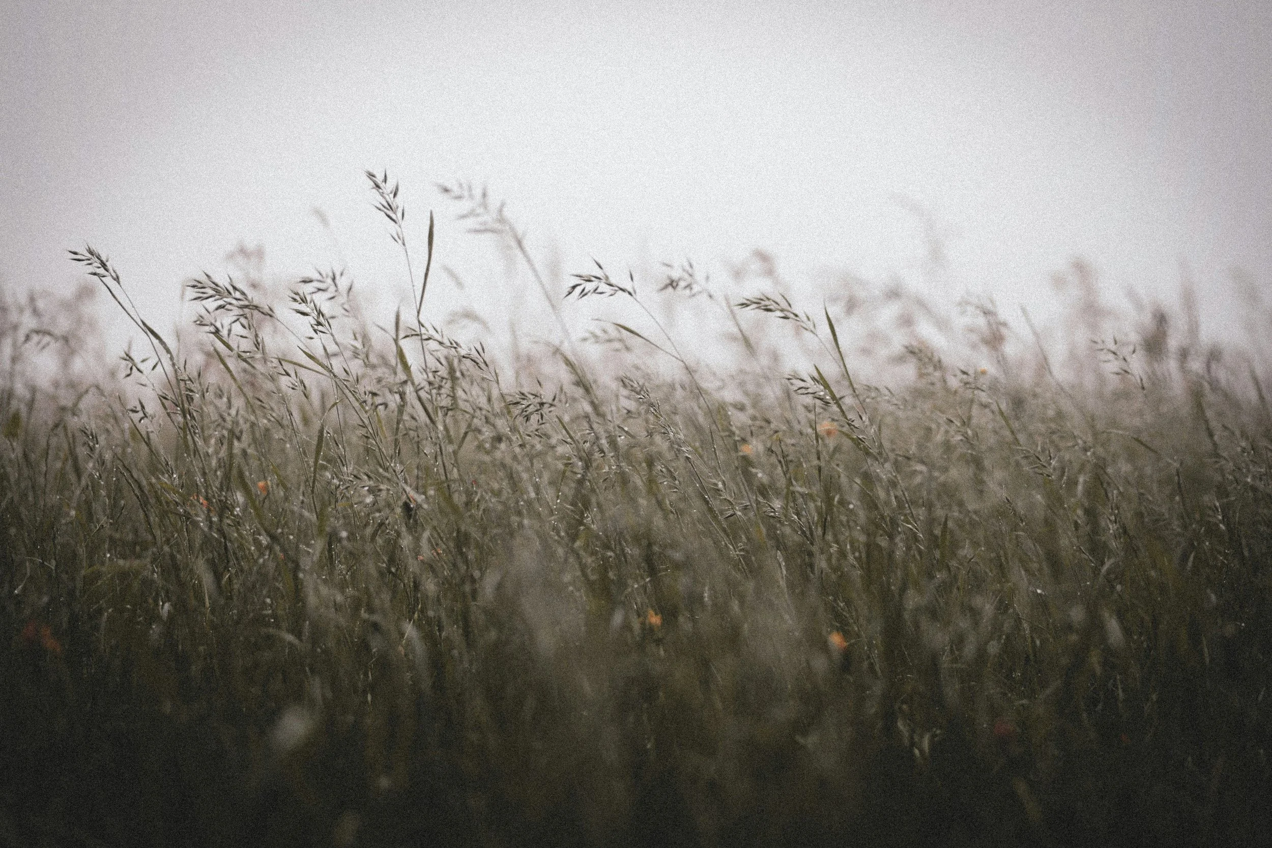 Overcoming the January Blues