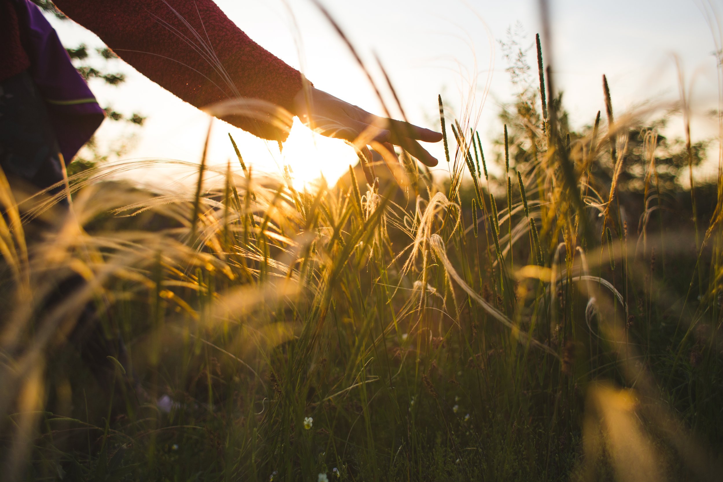 Tackling Common Myths About ADHD in Adults
