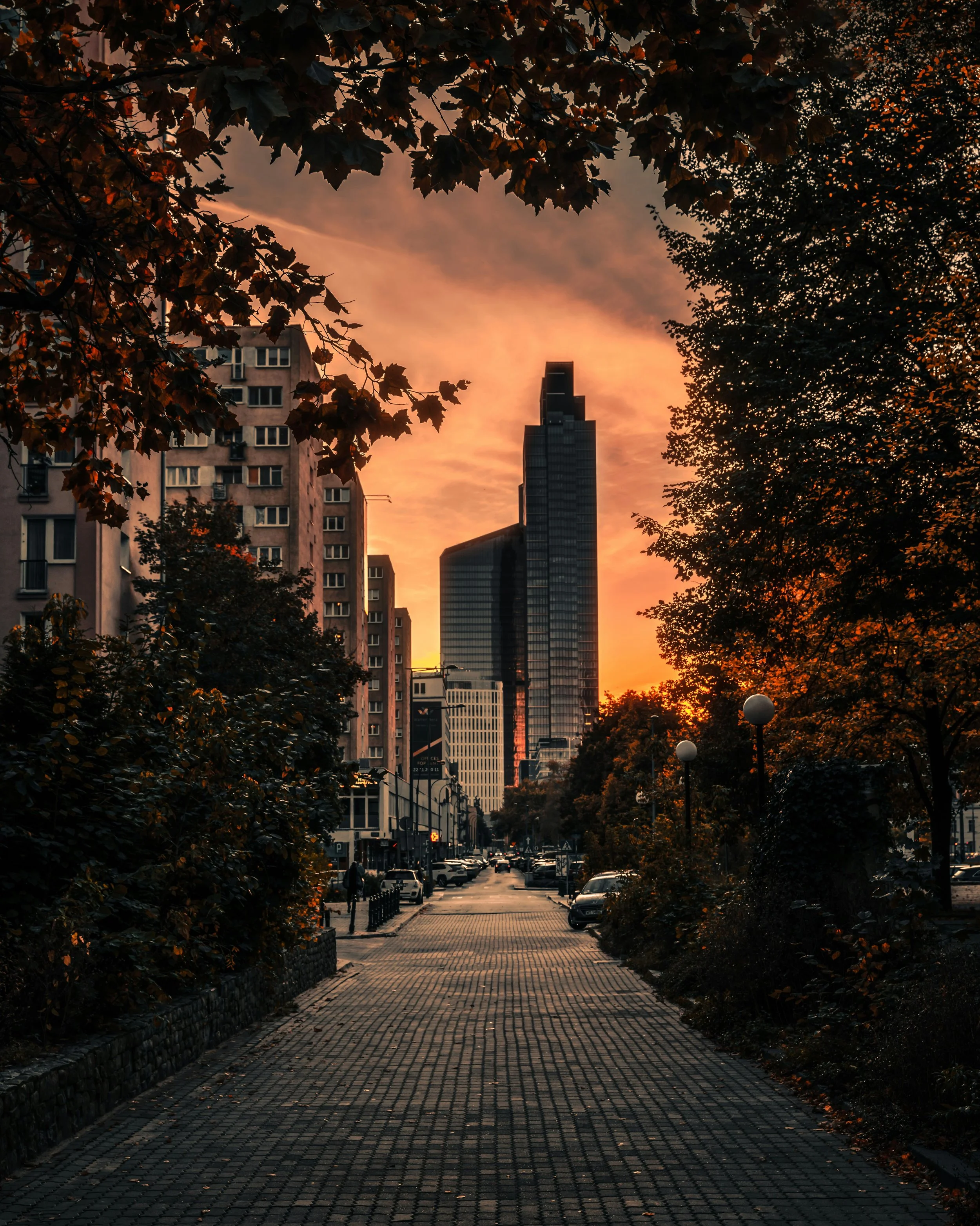 Living Abroad and Feeling Isolated: The Emotional Reality of Expat Life