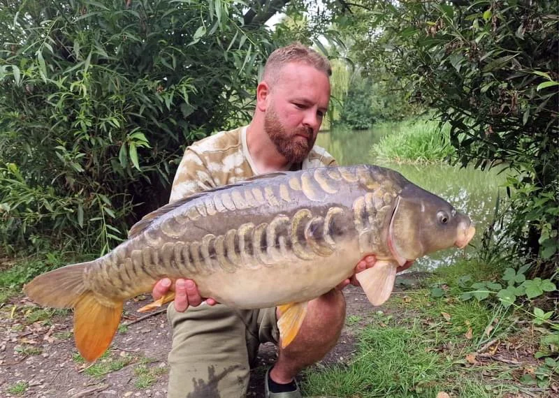 Kingfisher Catch 2.JPG