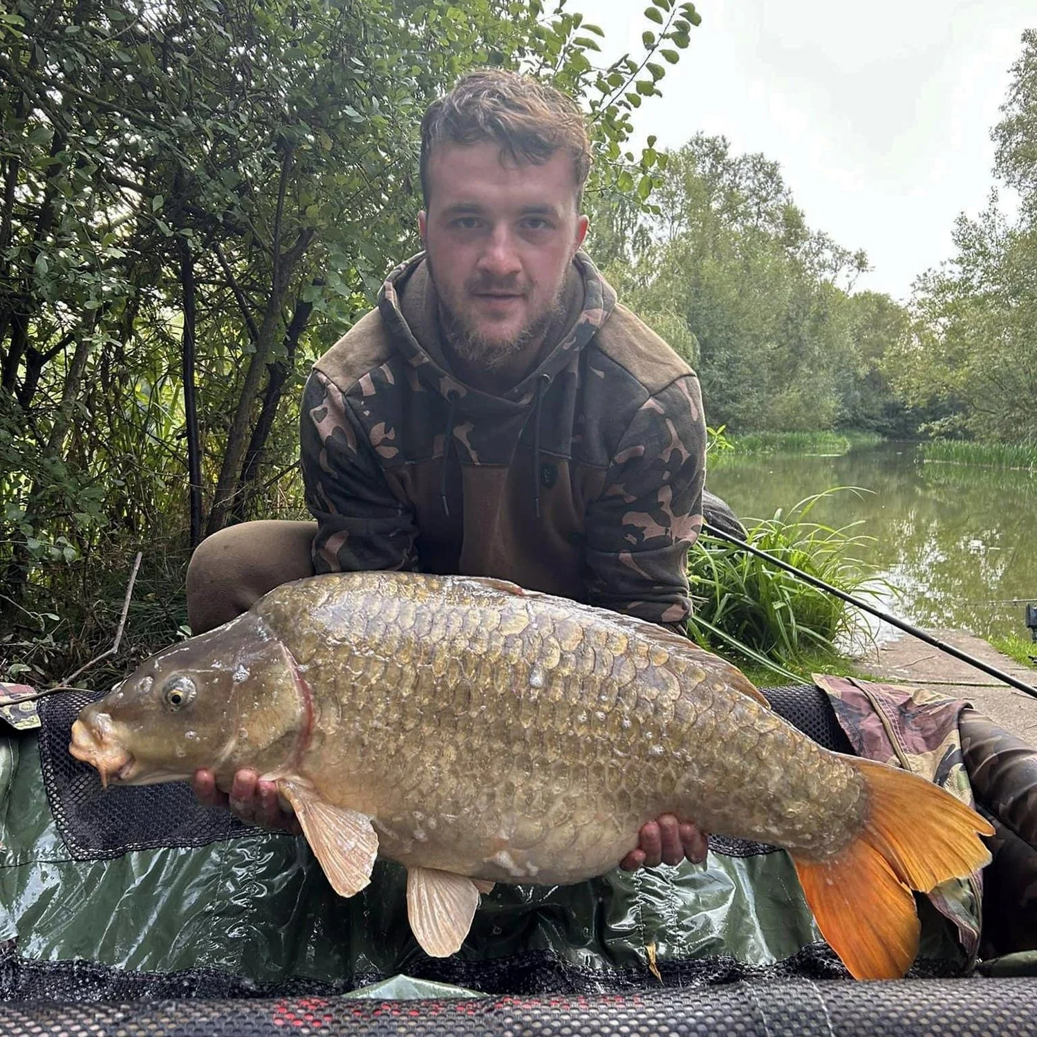 Kingfisher Catch 3.JPG