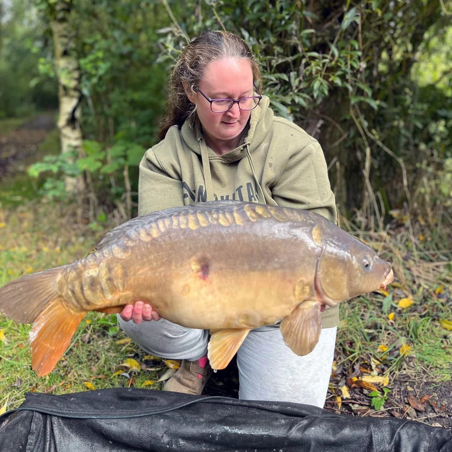 Kingfisher Catch 4.JPG