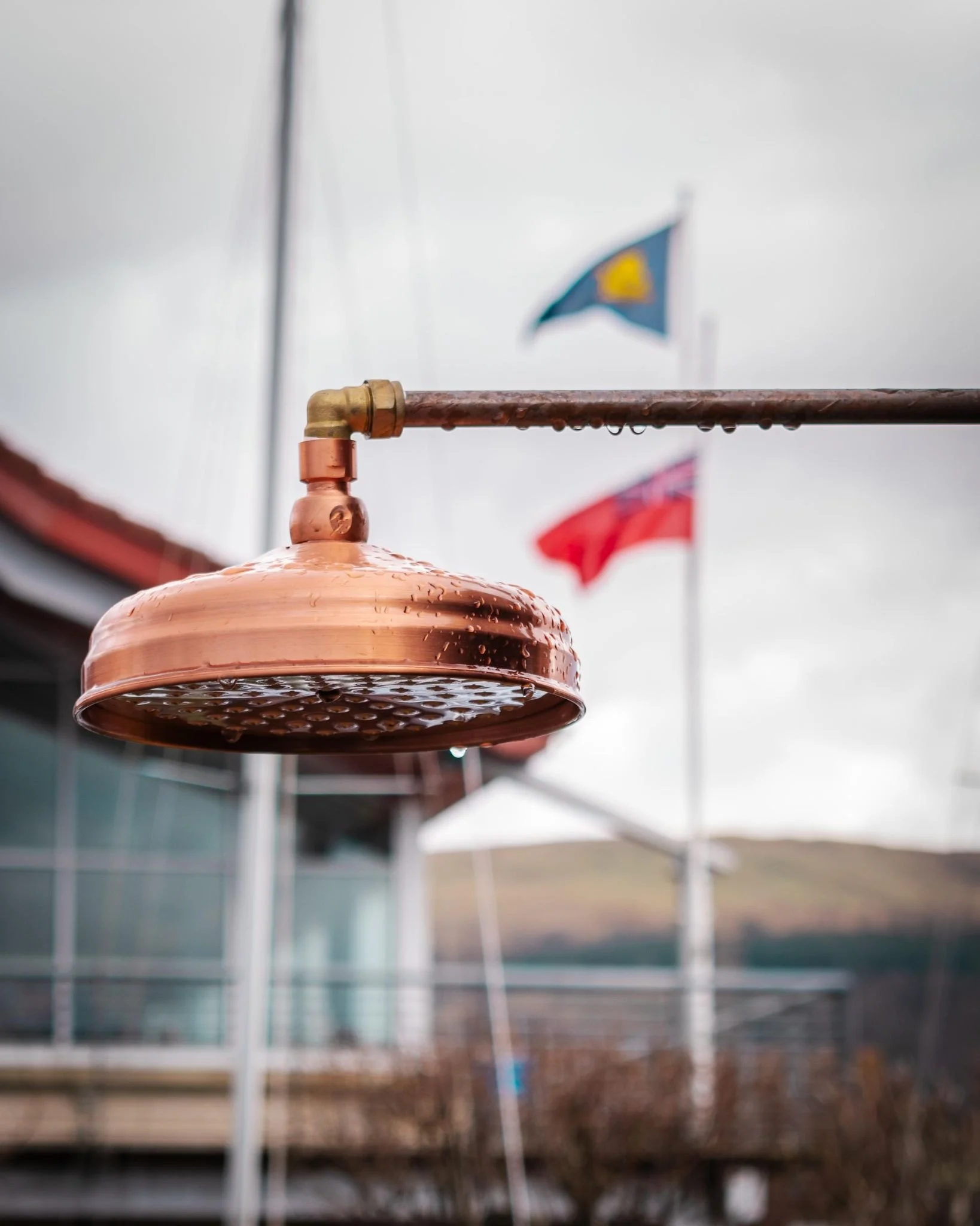 Shower head with flags.jpg