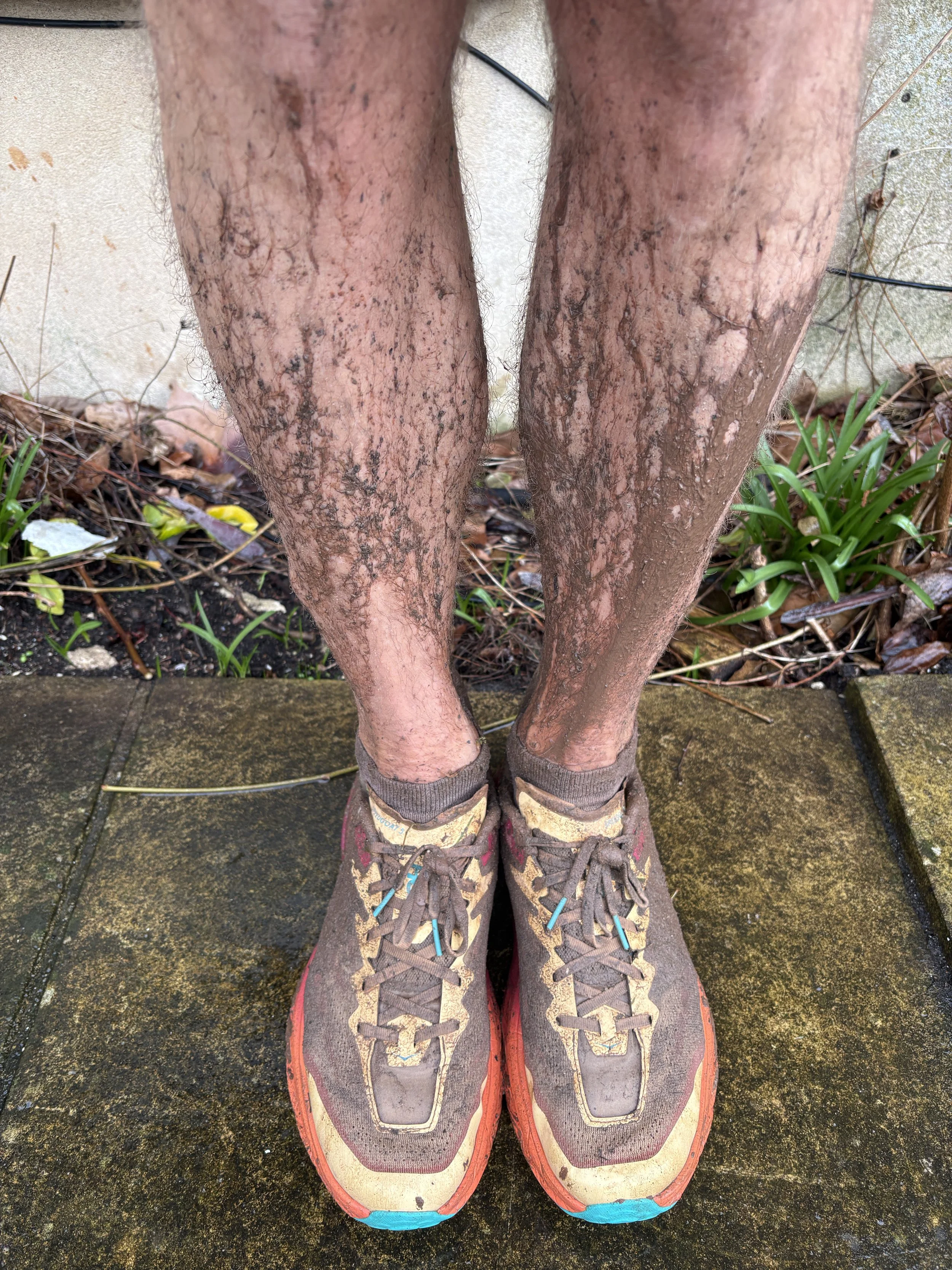 Reflecting on the Week - 1st Feb