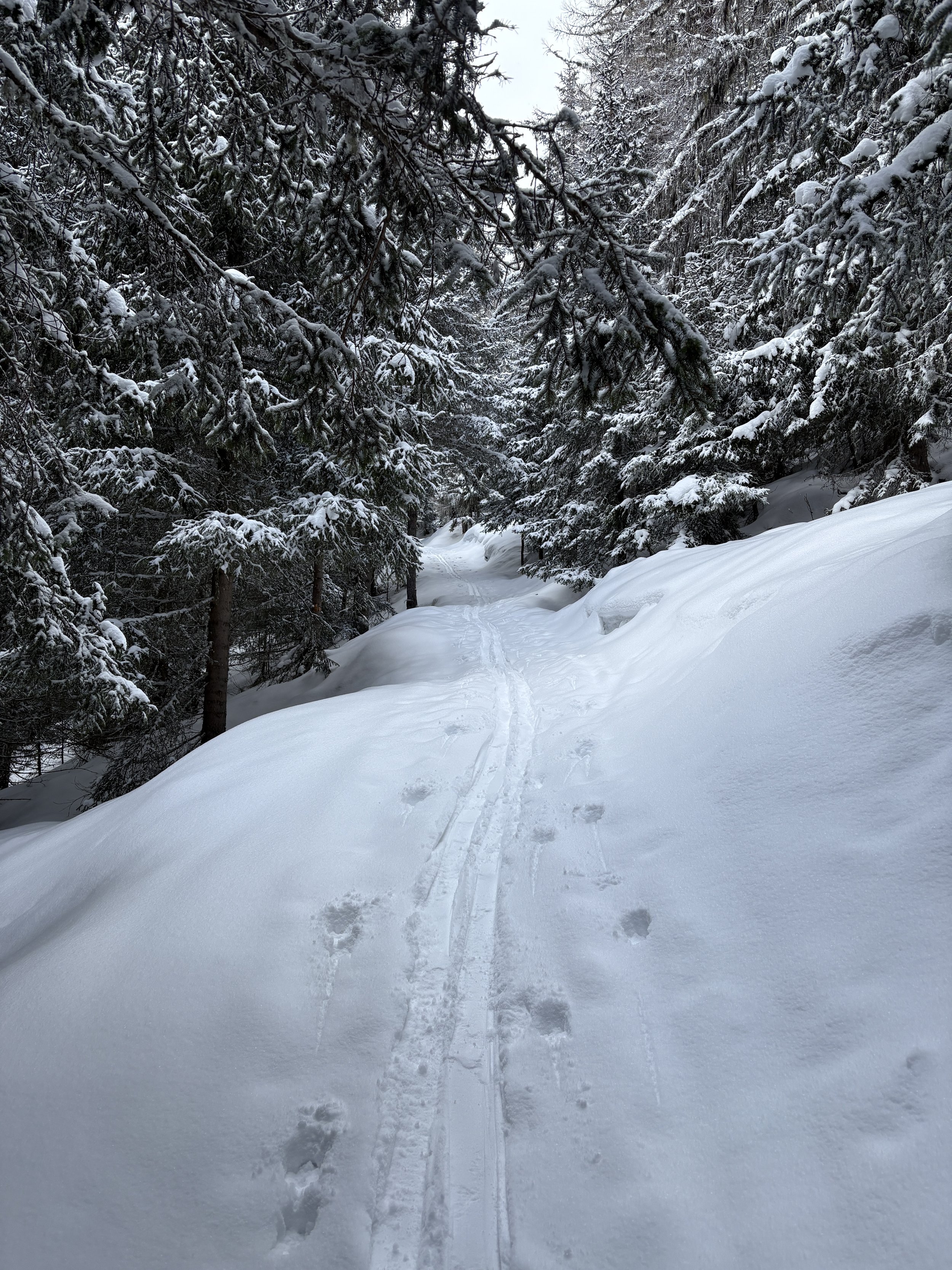 Reflecting on the Week - 29th March