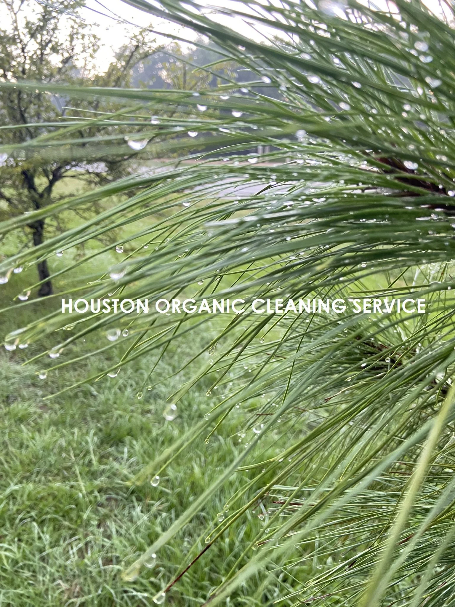 Highland Village, Houston Move-In Healthy Cleaning Service