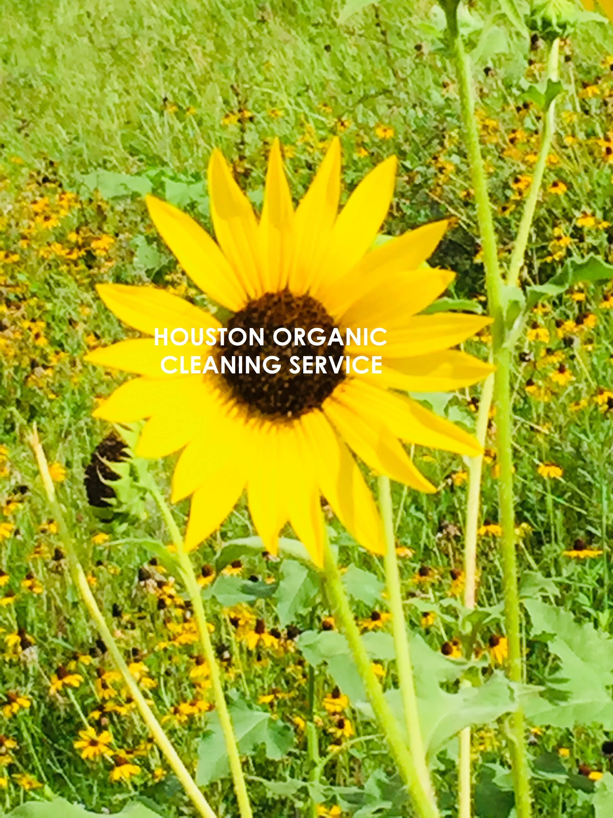 Four (4) Ways NRG Park is Reducing It’s Carbon Footprint