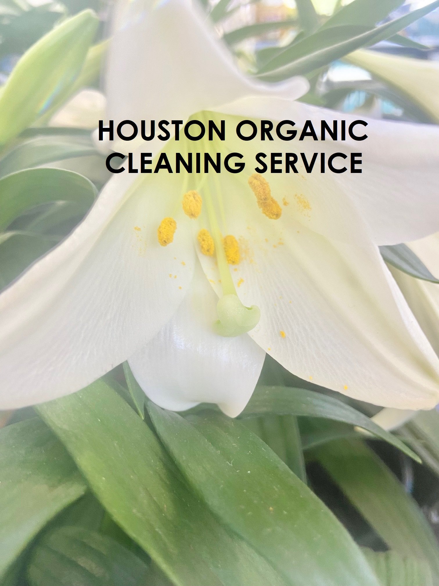 Houston Museum District Healthy Move-In Cleaning Service