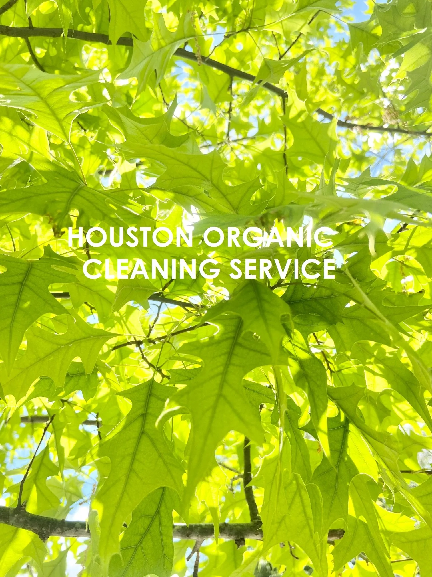 Montrose Move-In Healthy Cleaning Service