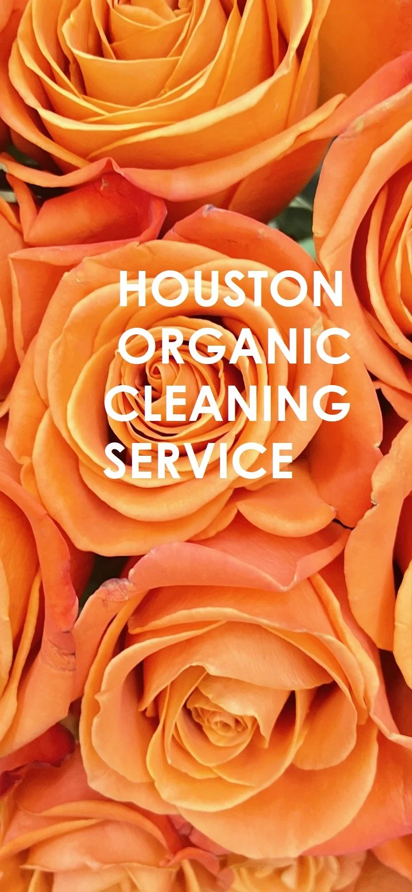 Memorial City Apartment and Residential Healthy Move-In Cleaning Service