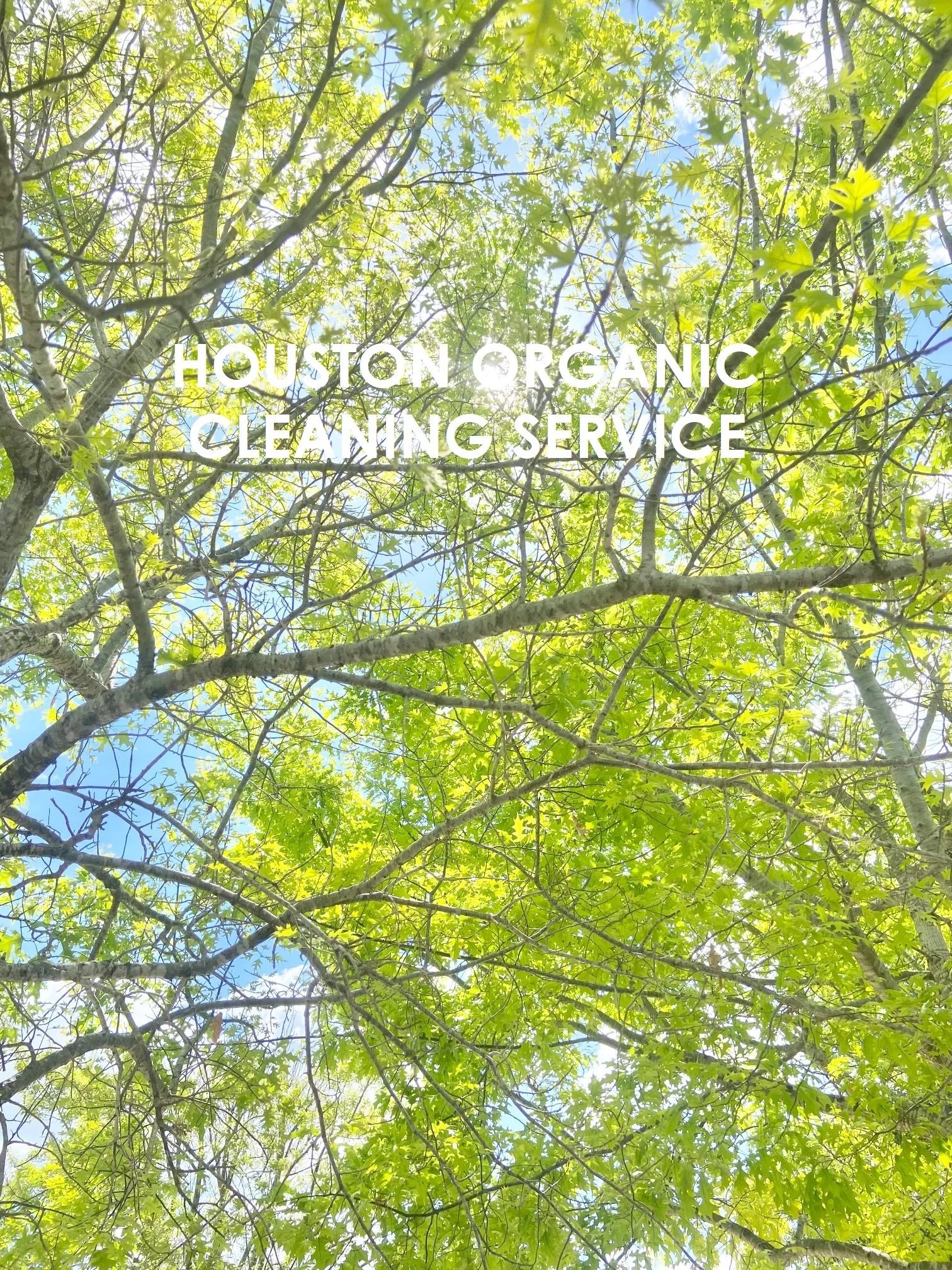 What is Compostable?