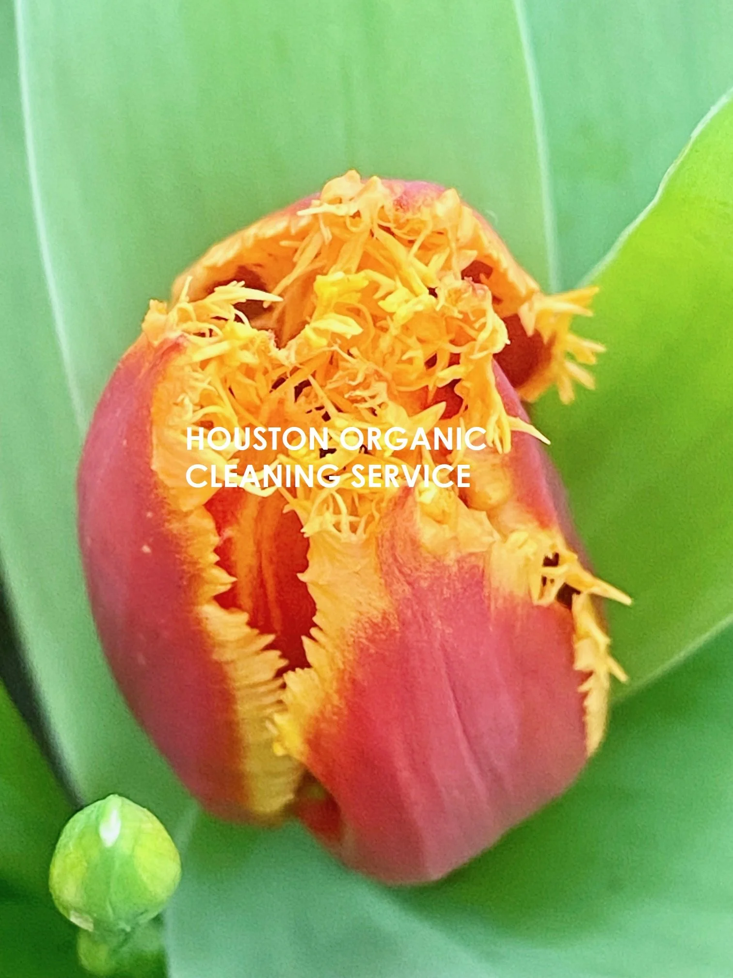 14 of the Most Amazing Parks Around Houston