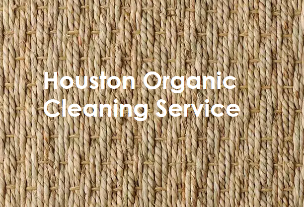 12 Natural Carpet Options for Houston Home Owners