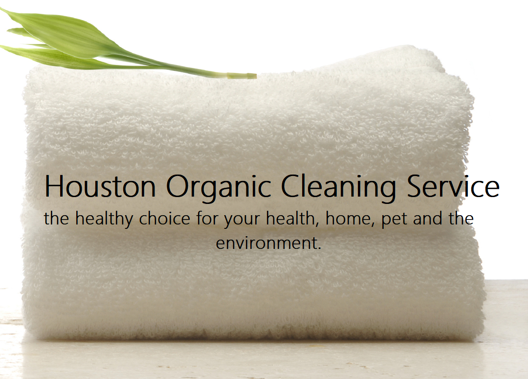 Dust Mites - 10 Things to Know