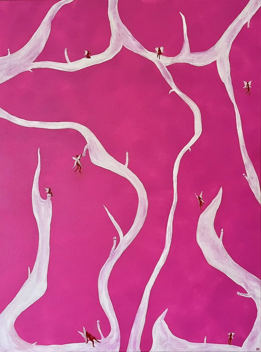 'DICKENSON'S GARDEN'
