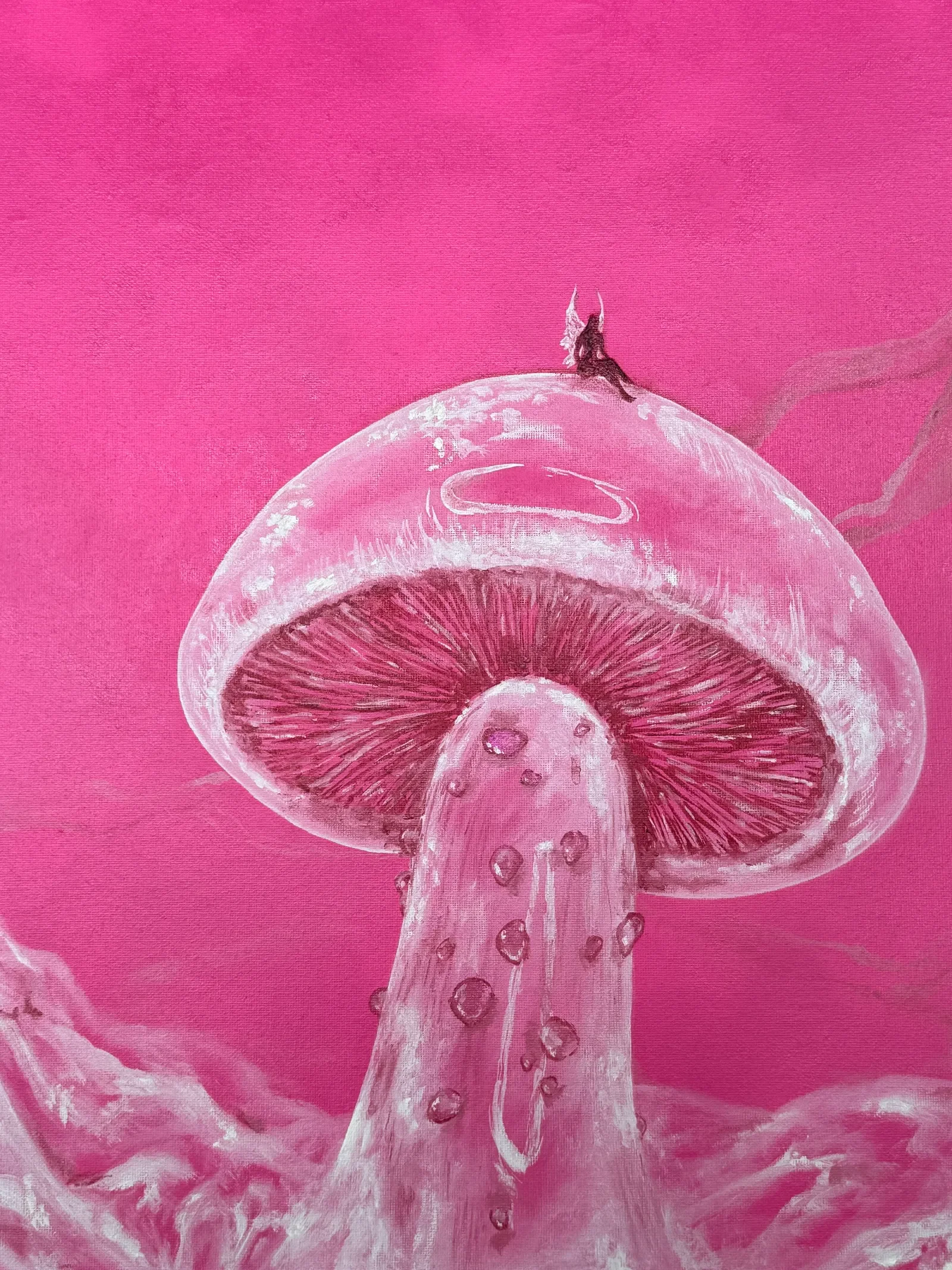 'TOADSTOOL'