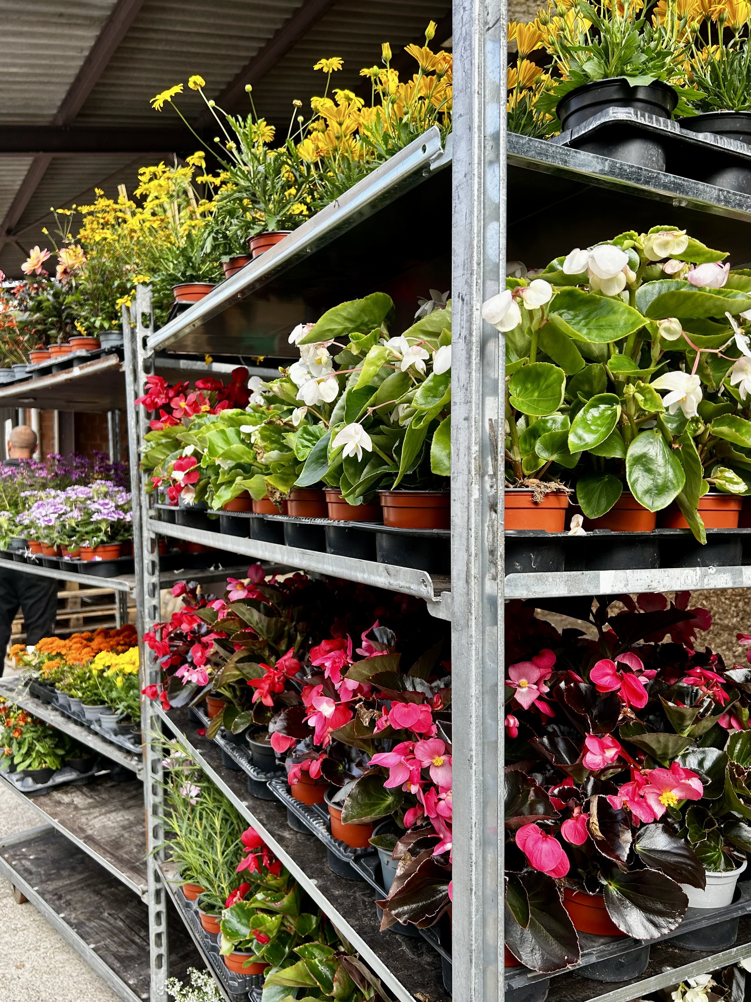 Plongez dans nos différents projets et laissez-vous inspirer par nos aménagements, nos plantations et nos jardins transformés au fil de notre savoir-faire.