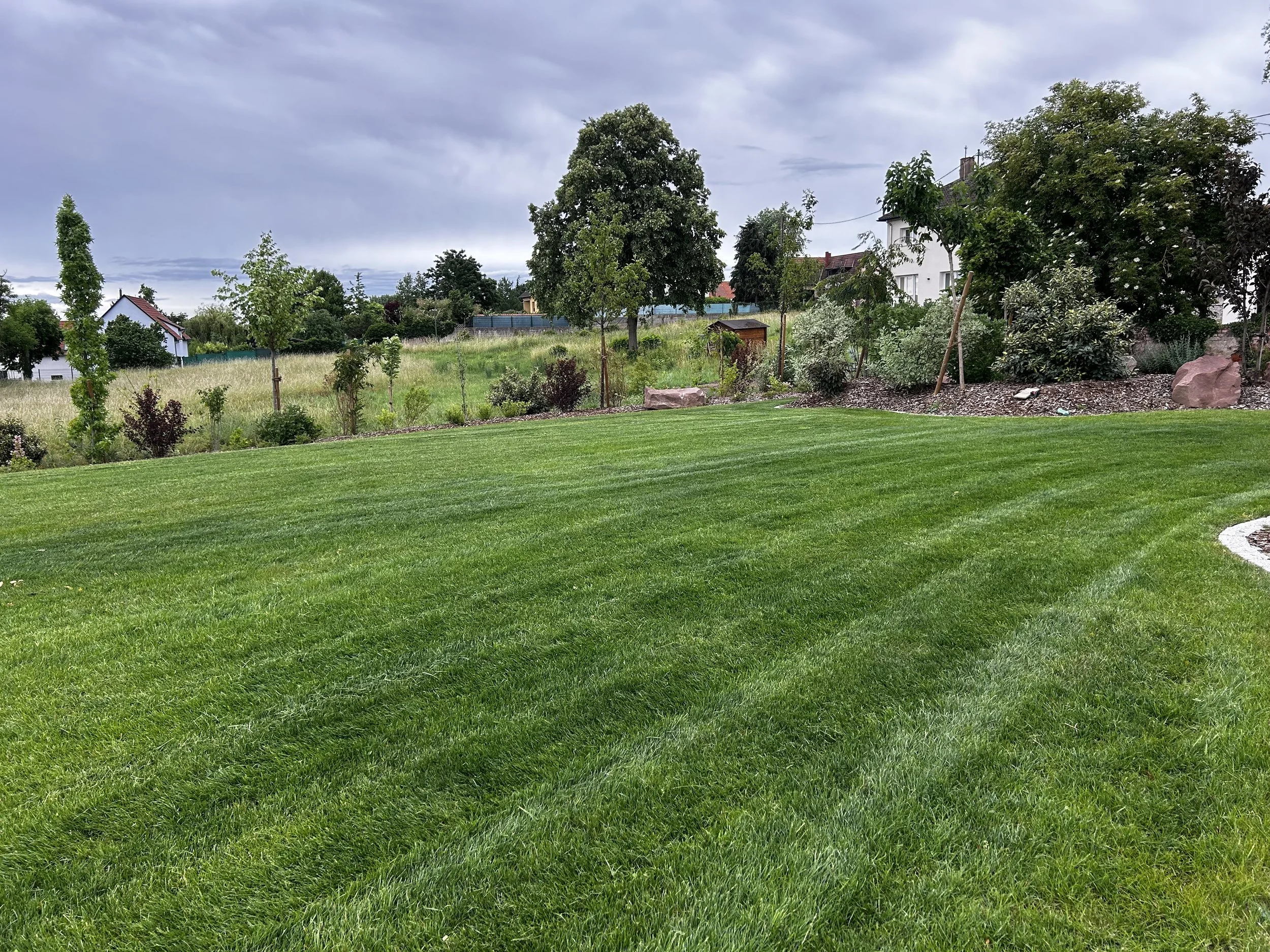 Plongez dans nos différents projets et laissez-vous inspirer par nos aménagements, nos plantations et nos jardins transformés au fil de notre savoir-faire.