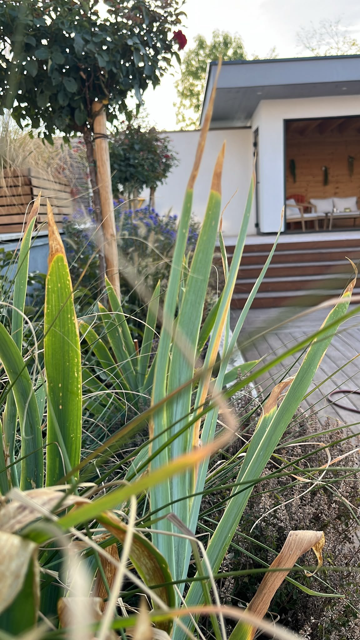 Plongez dans nos différents projets et laissez-vous inspirer par nos aménagements, nos plantations et nos jardins transformés au fil de notre savoir-faire.