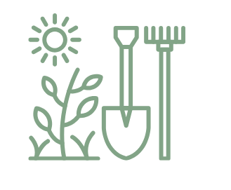 Soleil, plante et outils de jardinage (bêche et râteau)