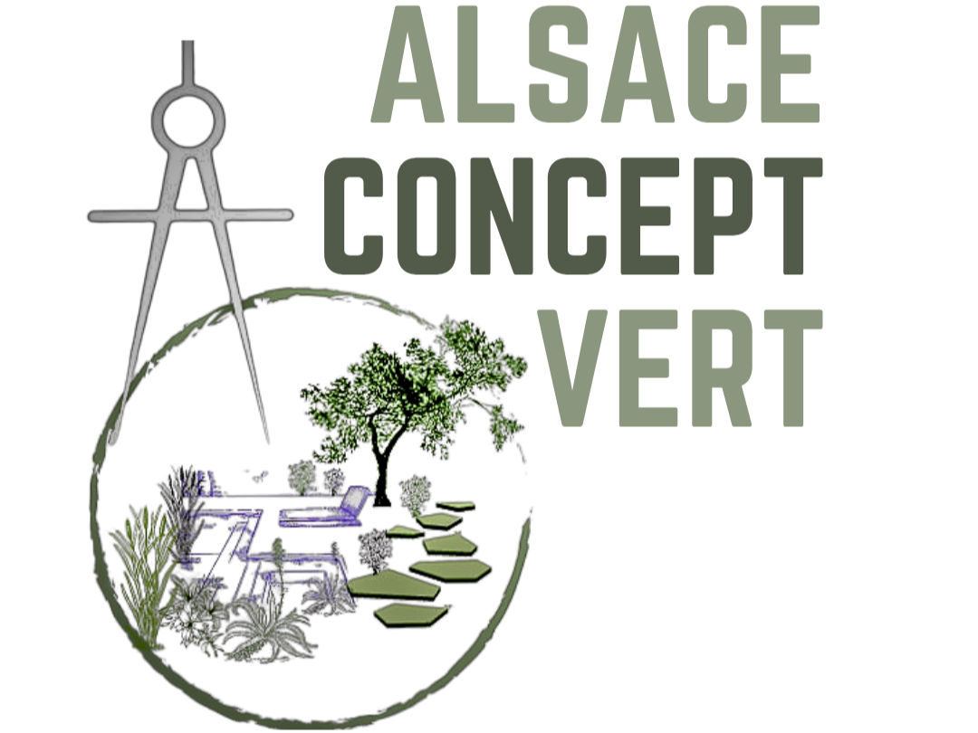  ALSACE CONCEPT VERT 