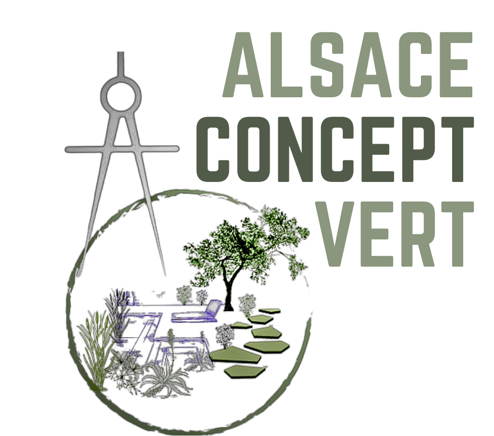  ALSACE CONCEPT VERT 