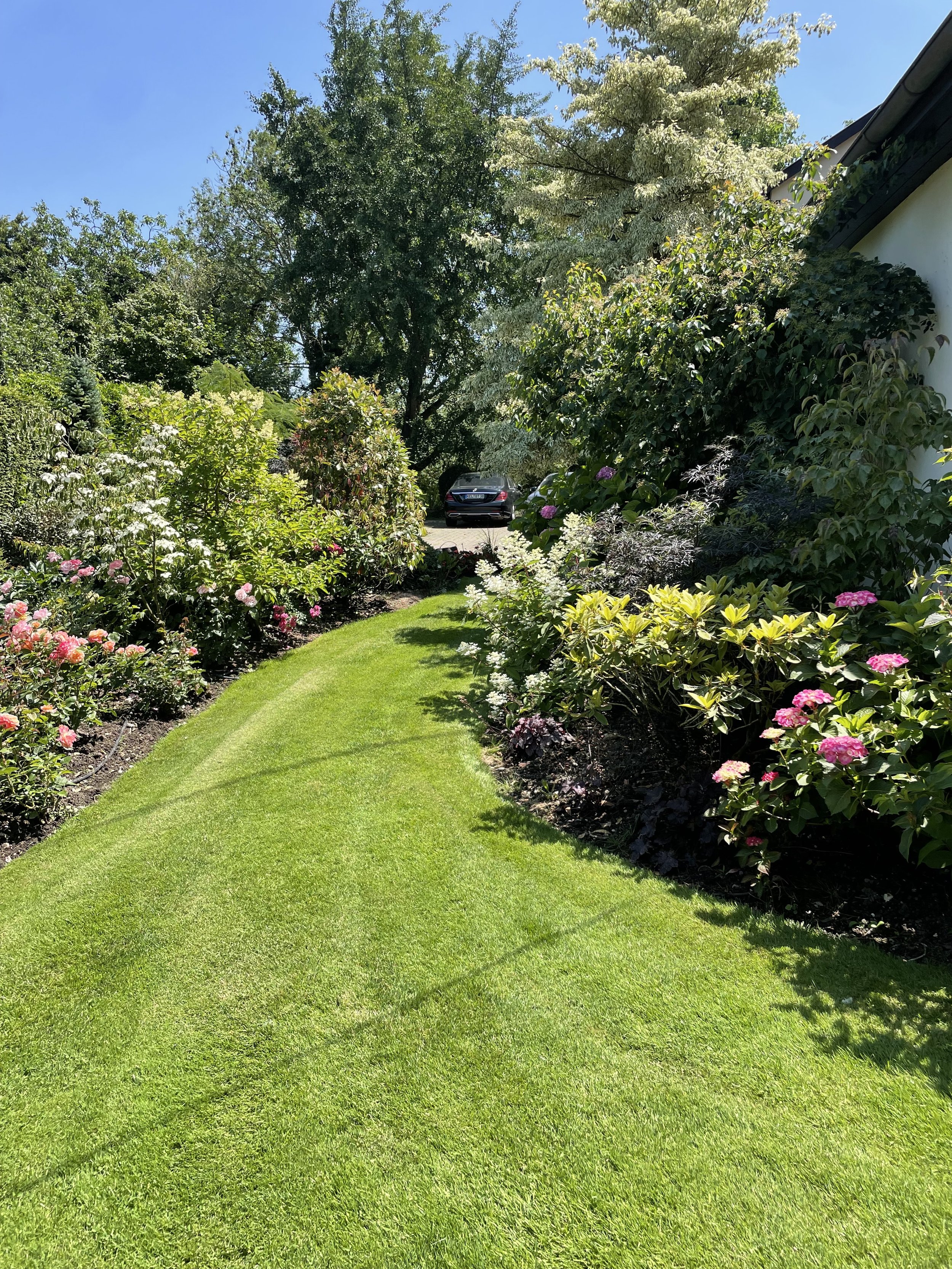 Un jardin bien entretenu avec une pelouse verte entourée de arbustes fleuris et d'arbres sous un ciel bleu clair.