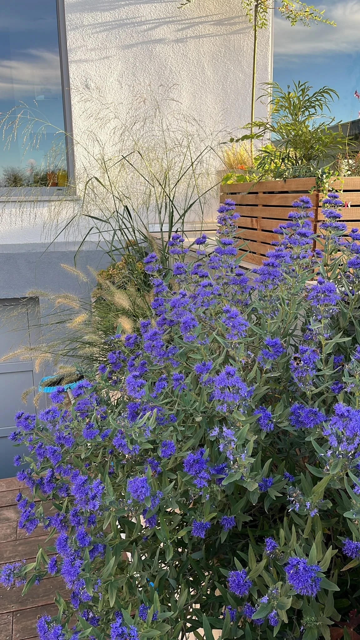 Plongez dans nos différents projets et laissez-vous inspirer par nos aménagements, nos plantations et nos jardins transformés au fil de notre savoir-faire.