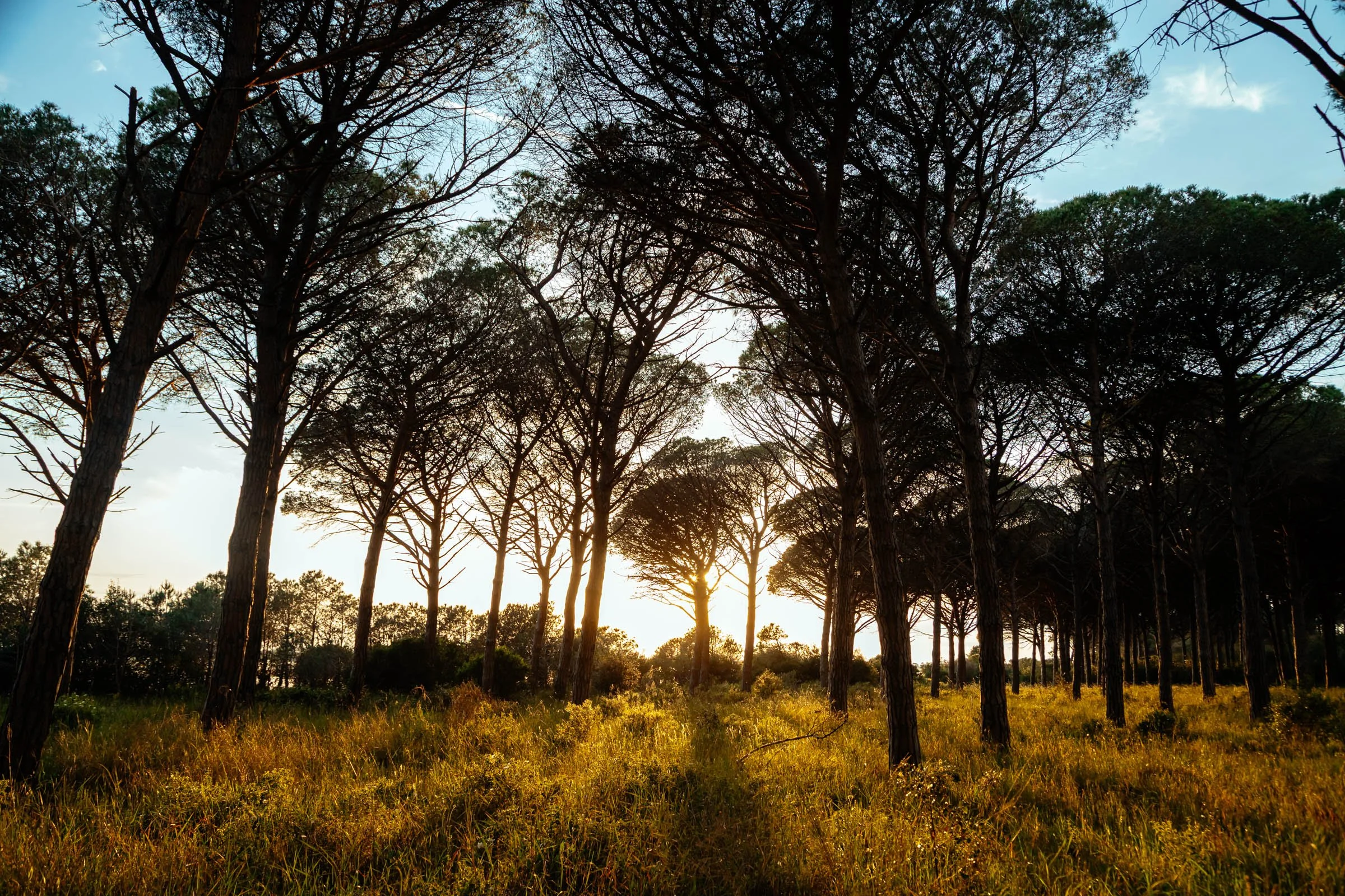 2023 .05 May - WWF Orbetello -7.jpg