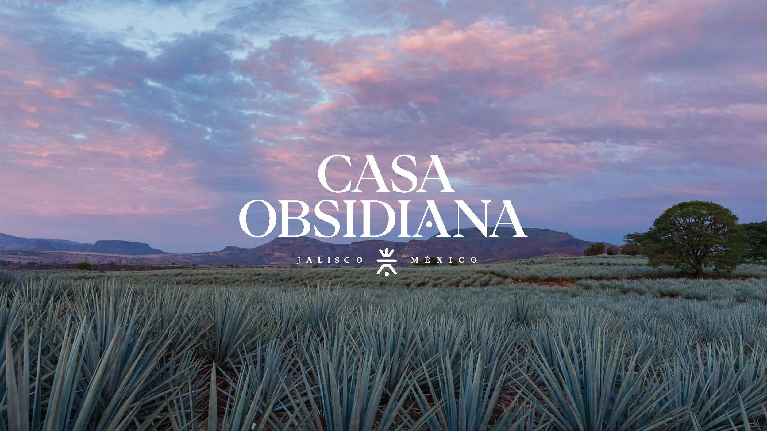 CASAOBSIDIANA-BrandIdentity-FA_Page_01.jpg