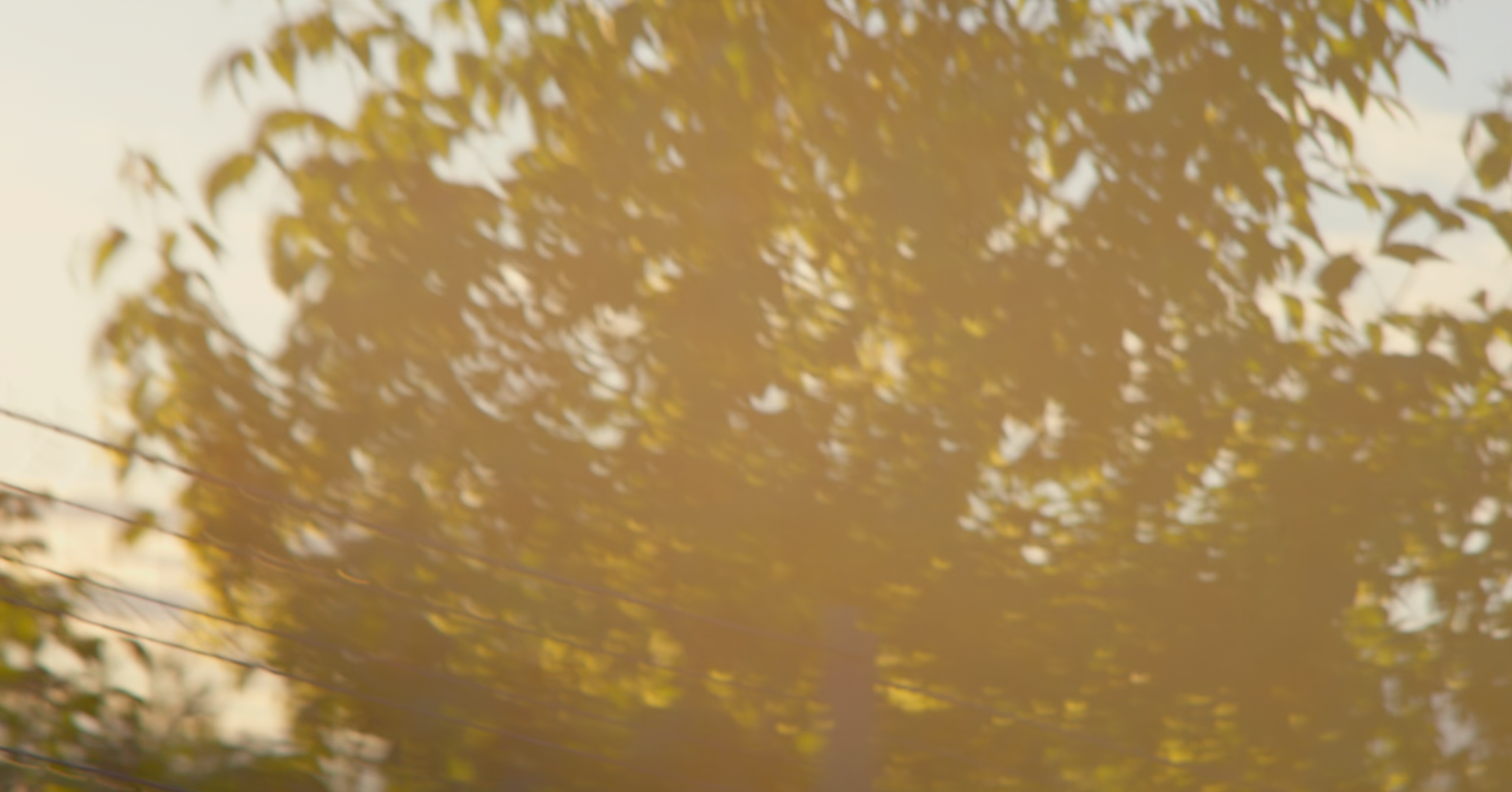 Screenshot+2025-07-31+at+18.09.16.png