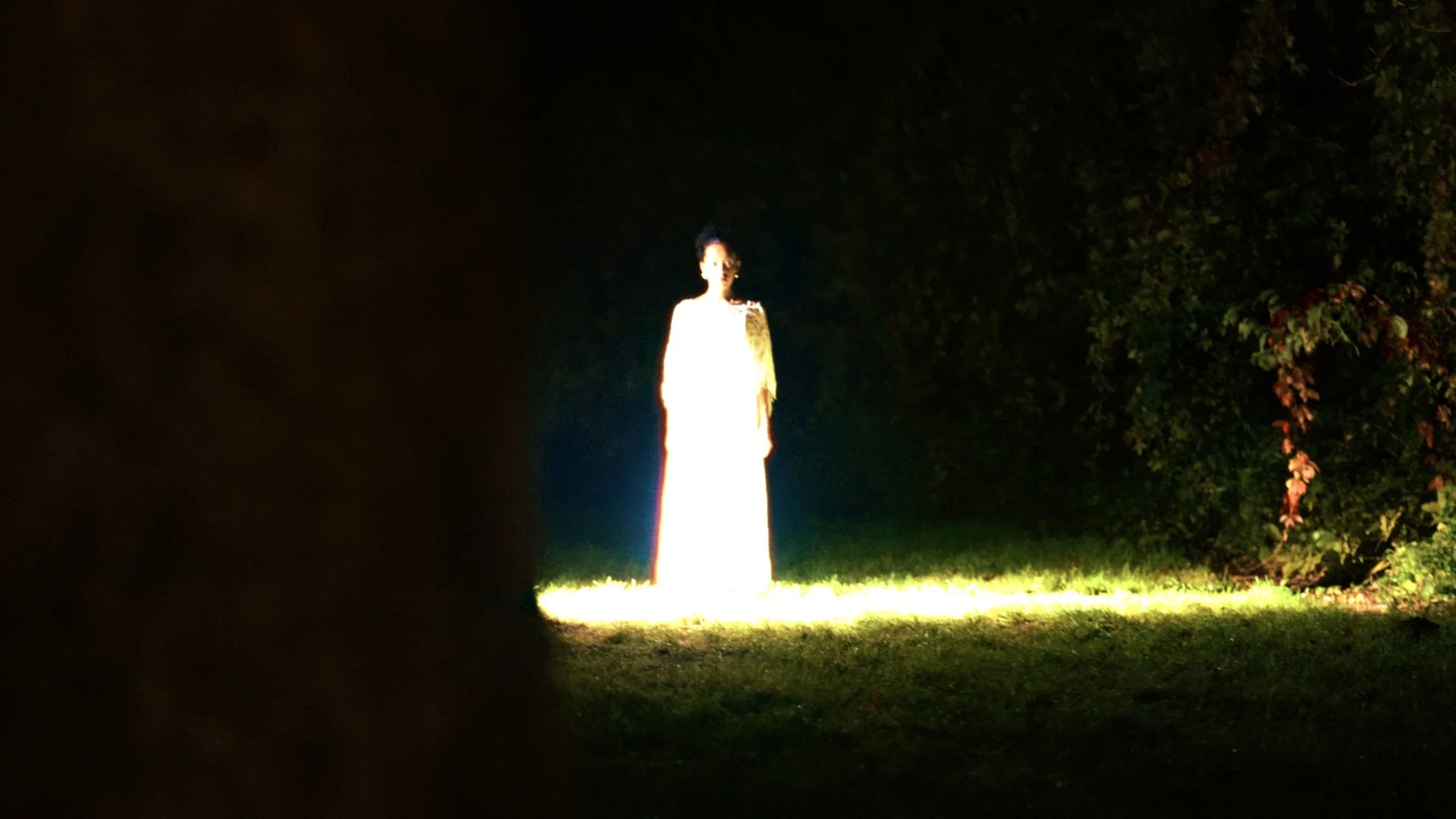 Still 2026-01-09 235667.JPG