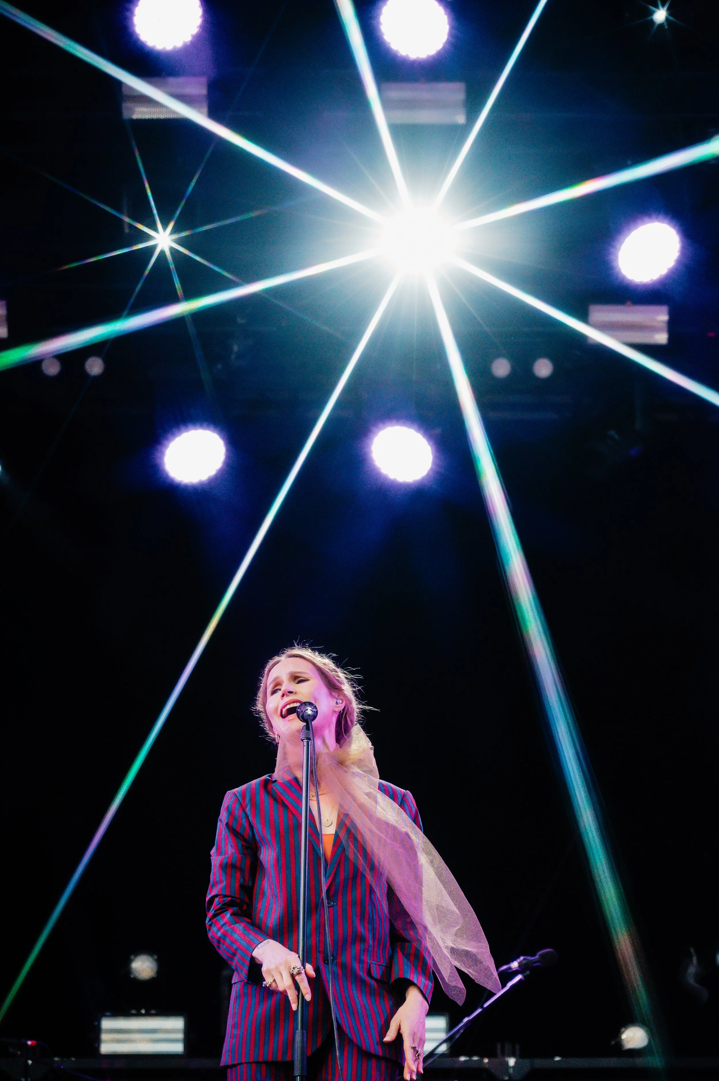 The Cardigans