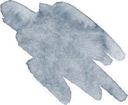 Silhouette of a bird in flight against a plain background.