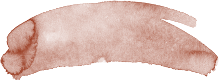 Close-up of a brown sausage