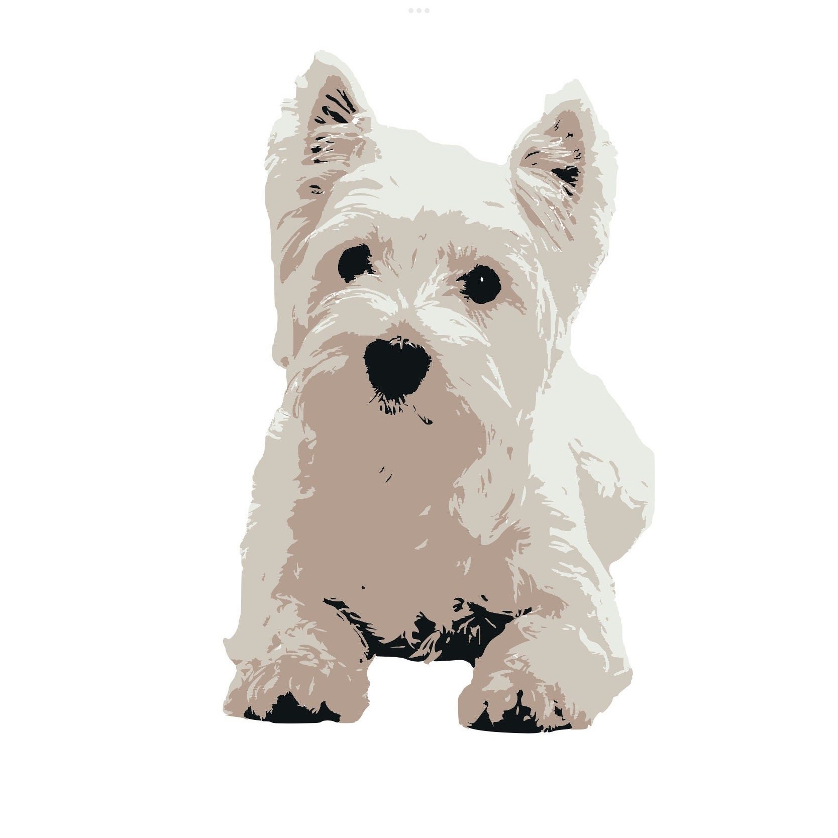 https://i.etsystatic.com/33697416/r/il/1e6985/5814195722/il_fullxfull.5814195722_fmcr.jpg