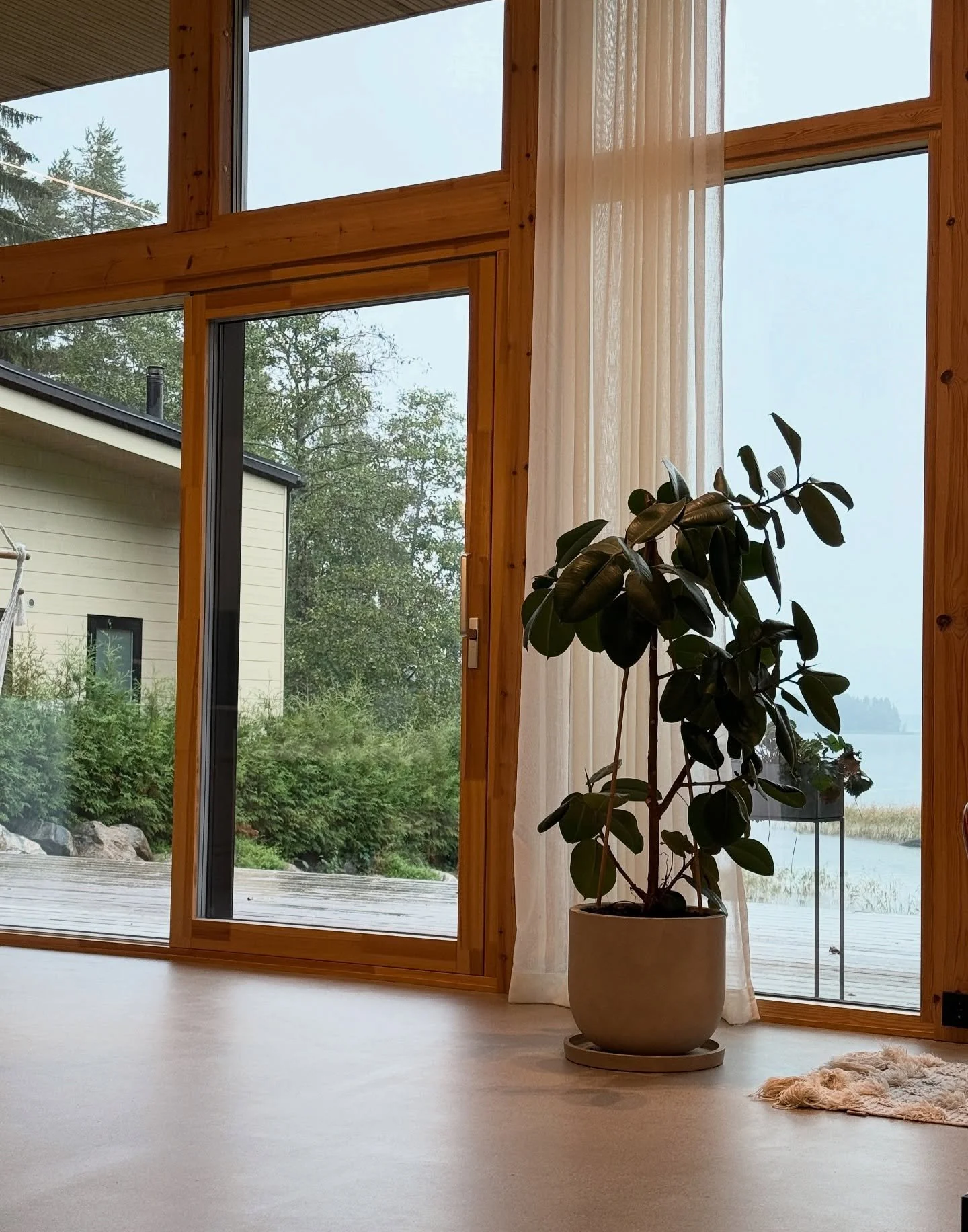 Viherkasvit 🌿

Viherkasvit on j&auml;&auml;neet v&auml;h&auml;n huonolle hoidolle kes&auml;n aikana. Kev&auml;&auml;ll&auml; vaihdoin mullat, mutta sit&auml; oli v&auml;h&auml;n liian v&auml;h&auml;n, kun nyt kes&auml;n aikana kasvit v&auml;h&auml;n