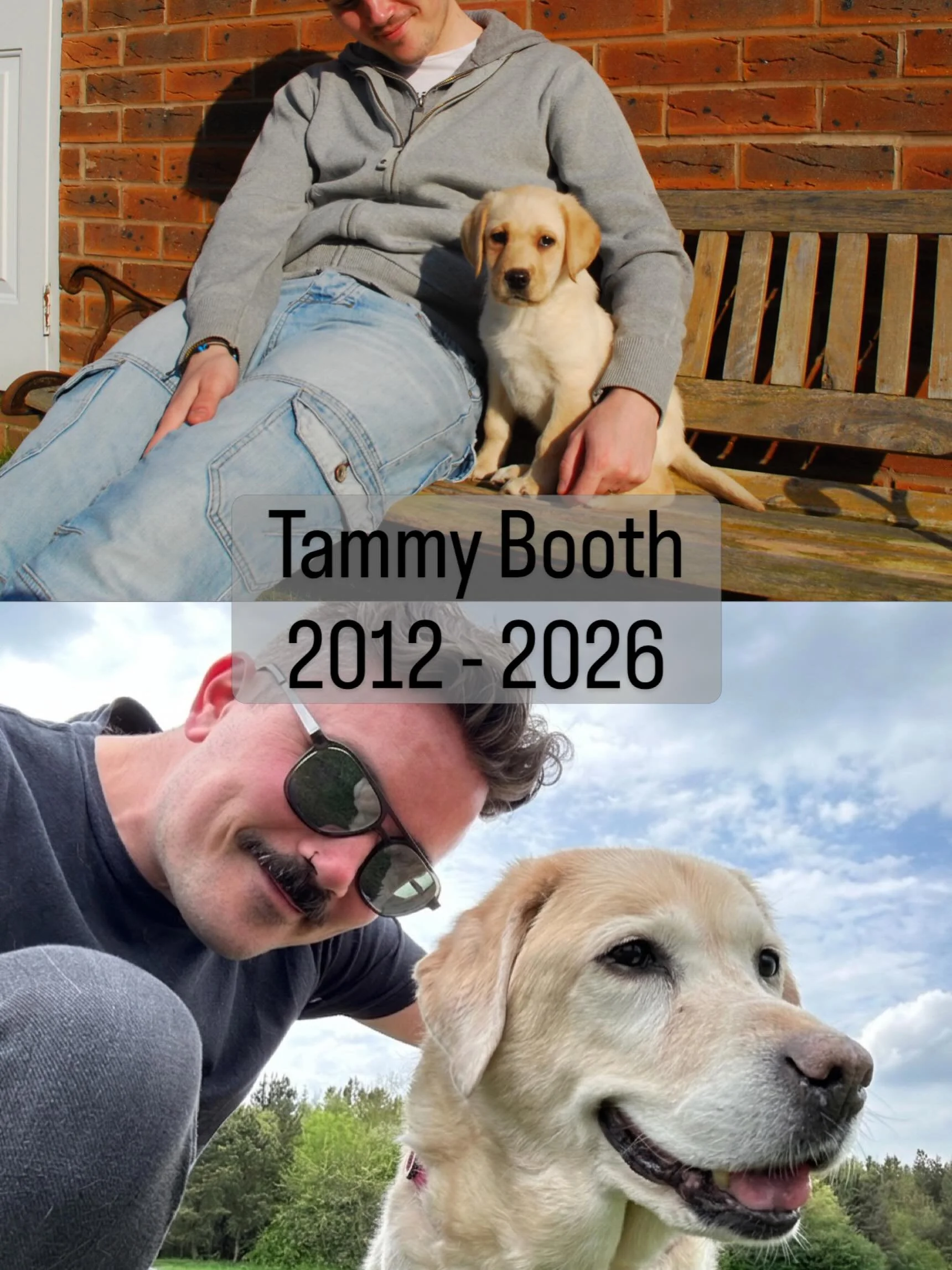I lost my best friend on the 8th of May. 

I&rsquo;m not posting this for sympathy, but simply to say: if you are lucky enough to have your best friend with you today, please give them extra cuddles and treats. 🤍
While we all know they won&rsquo;t o