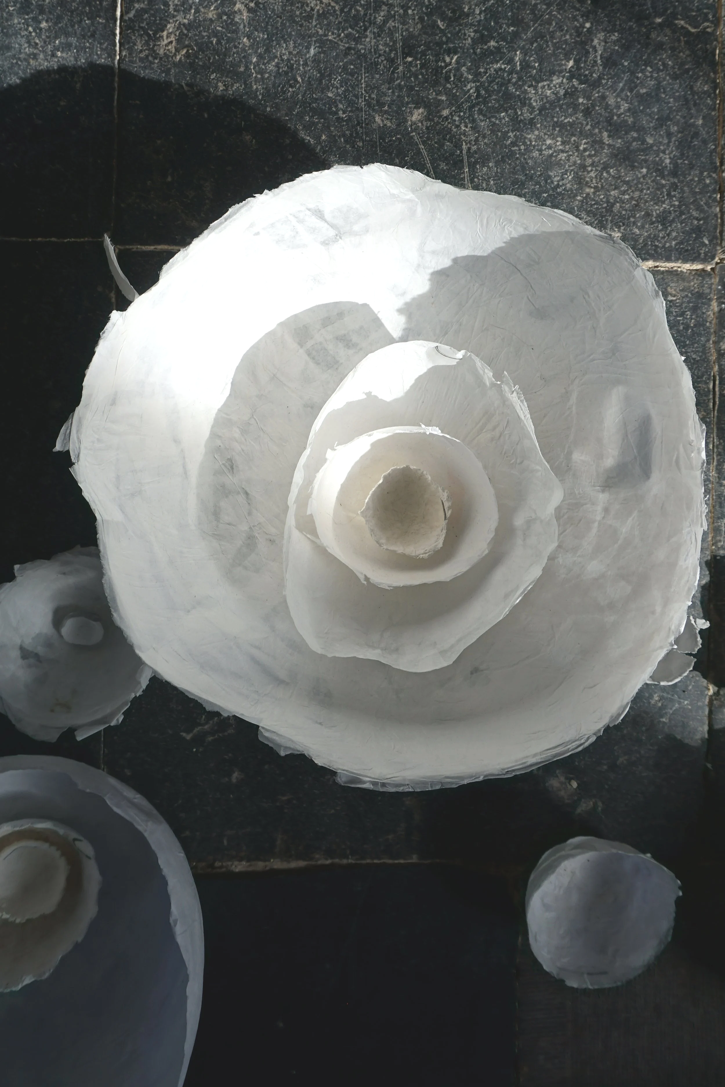DSC01920.png