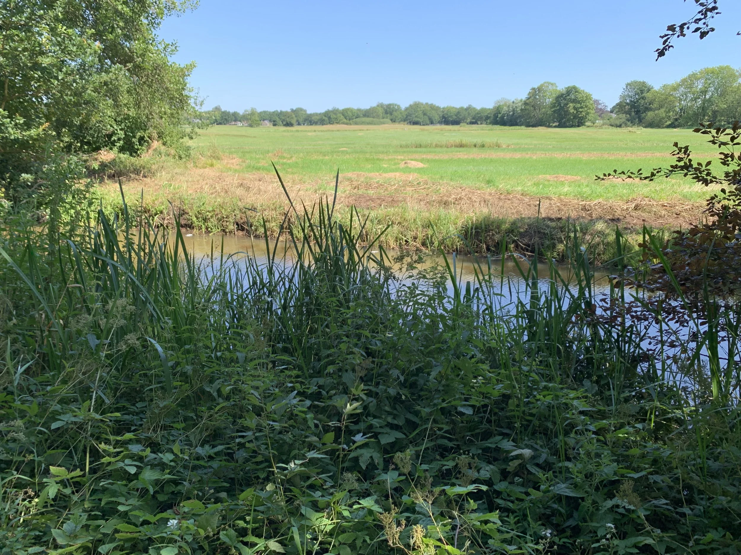 IMG_1829 kopie.jpeg
