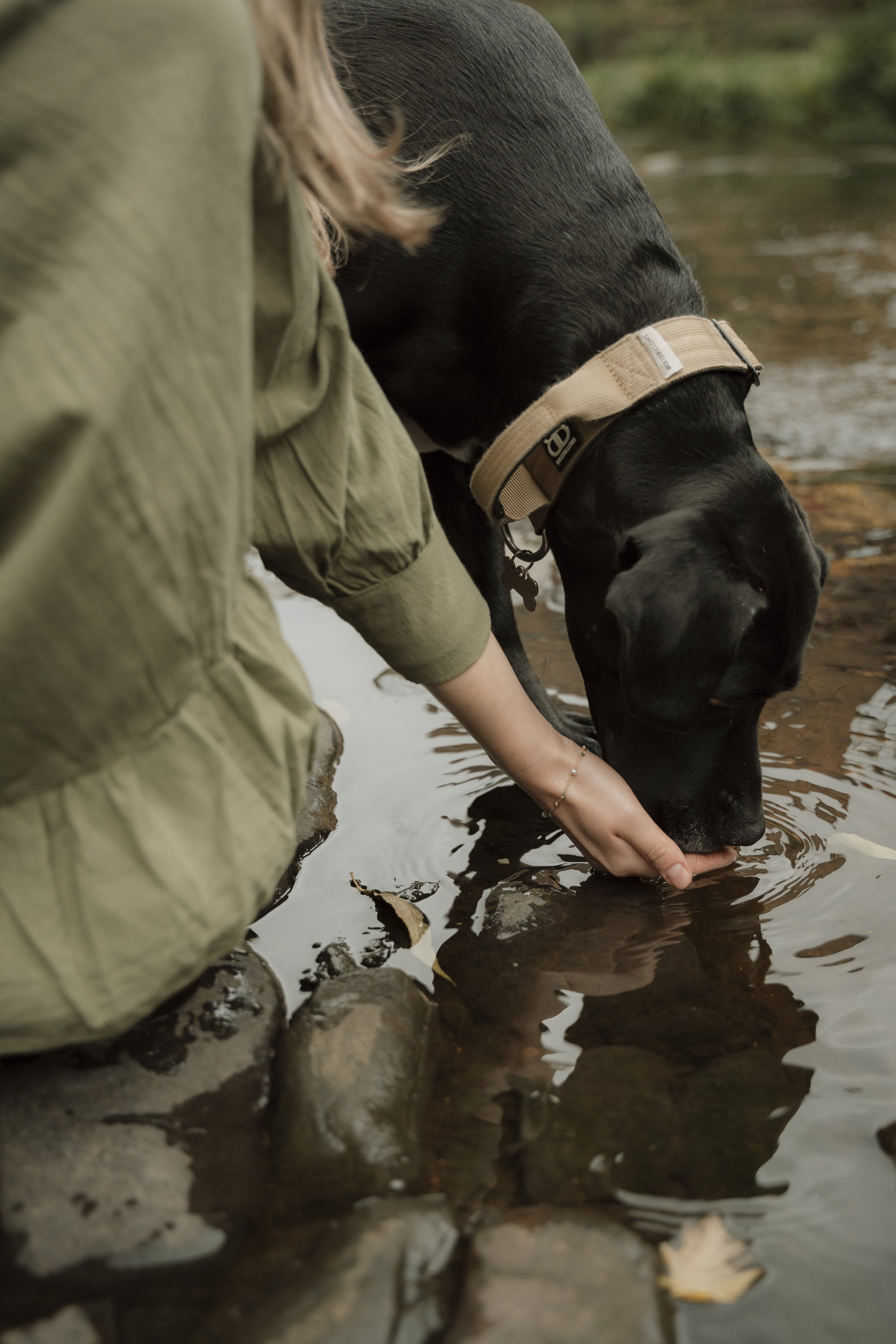 Pet-photographer-A&P-62.jpg