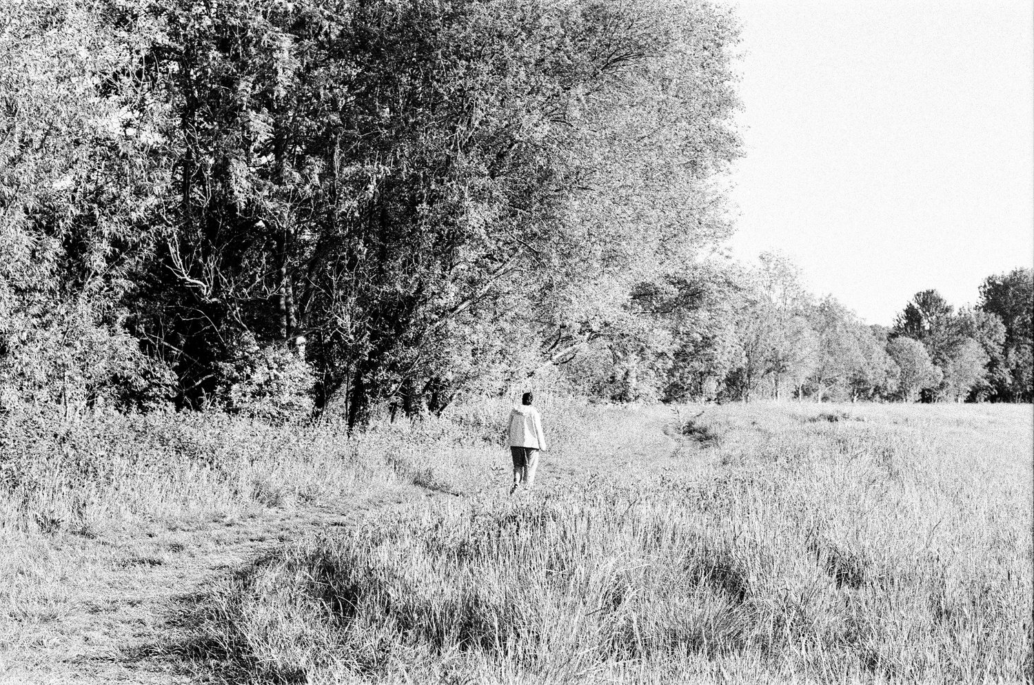 A figure walks away across an open wildflower meadow.