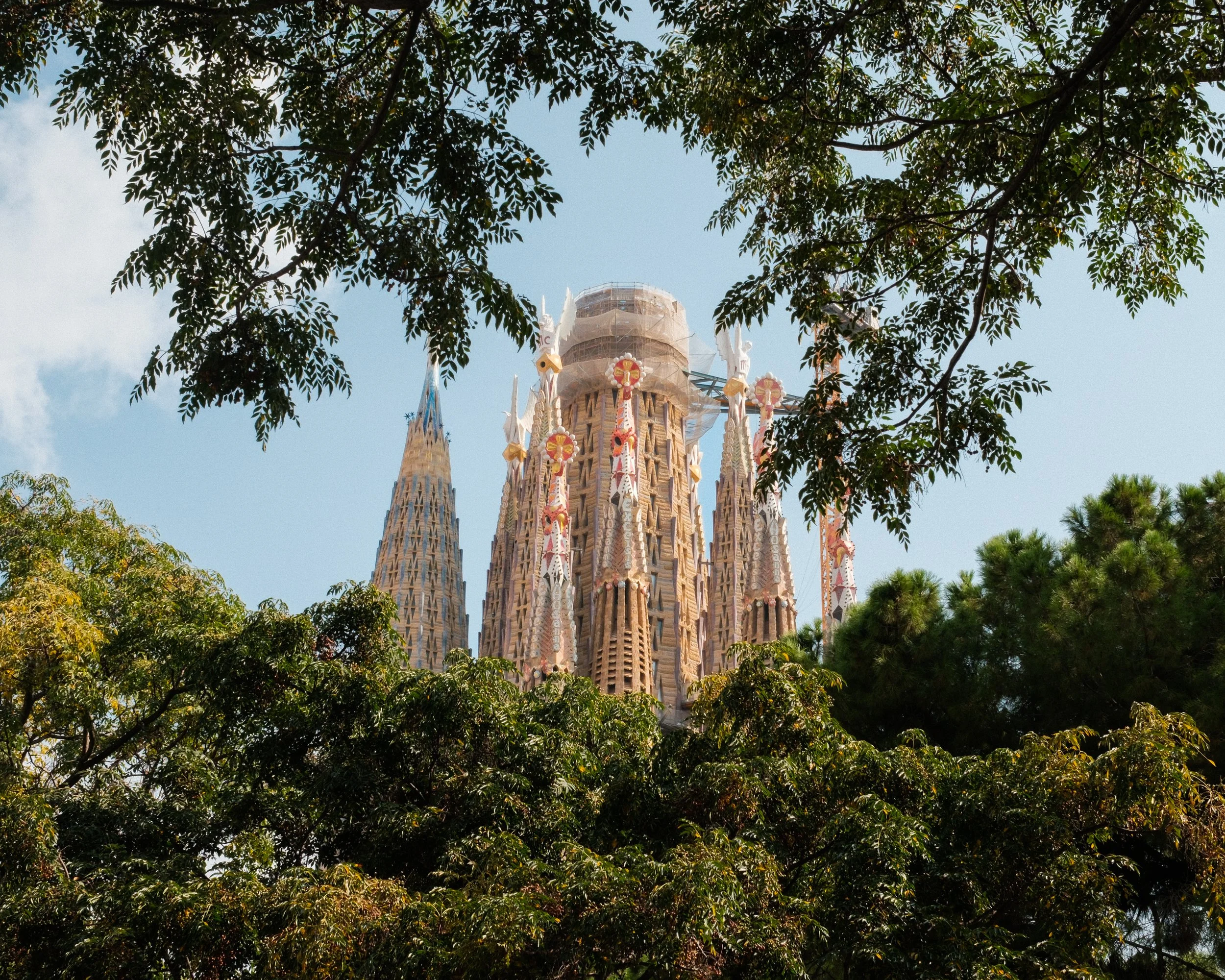 The rooftop of Sagrada Familia church in Barcelona, Spain, seen through green tree branches and leaves, with a clear blue sky in the background.