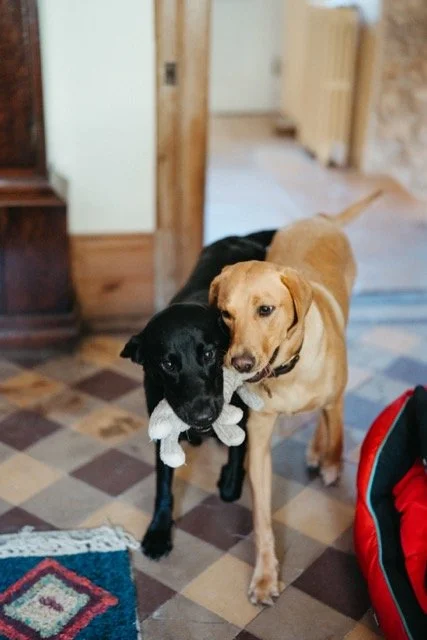 untitled-108-2 Medium.jpeg