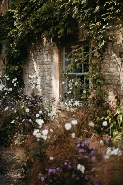 untitled-86-2 Medium.jpeg