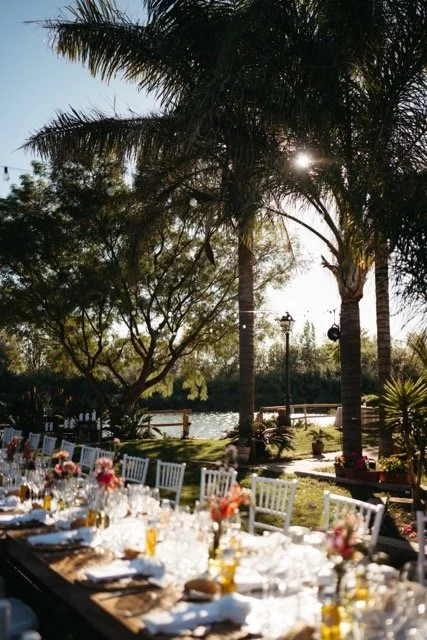 WW100241 Medium.jpeg